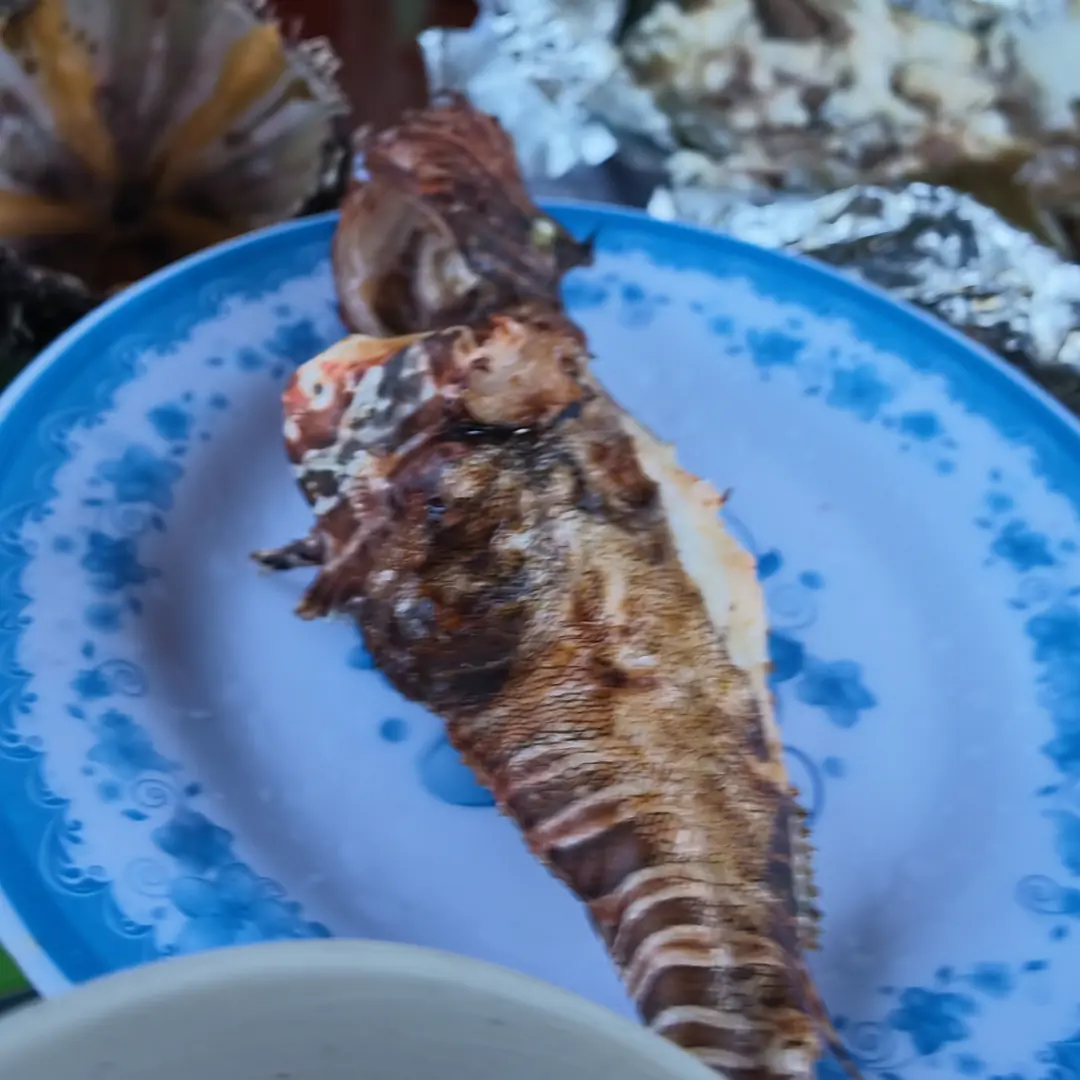 나트랑 바다낚시 투어 선상 BBQ — 숯불에 통째로 구운 생선